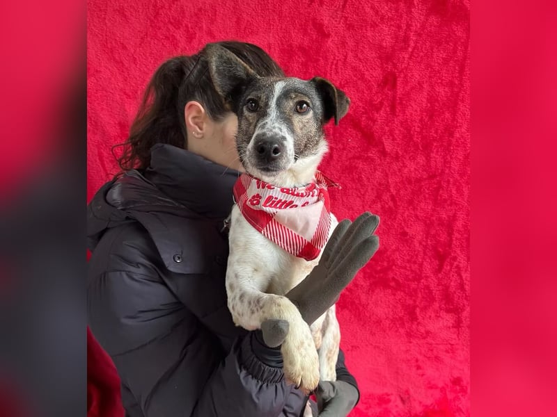 Vasilisa - Zauberhaftes Herzensmädchen sucht ein liebevolles Zuhause