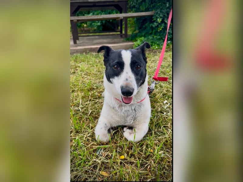 Manu - Kleine Kämpferin sucht ihr Glück