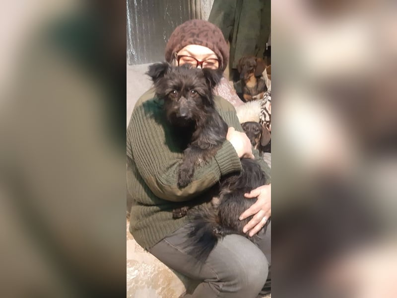 Yutza aktive kleine Abenteurerin sucht Dich