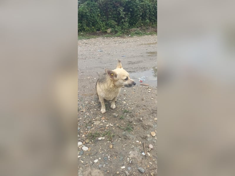 Kukla sucht ein warmes Zuhause