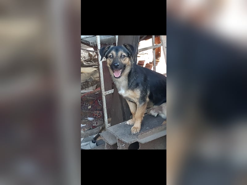 Rudi