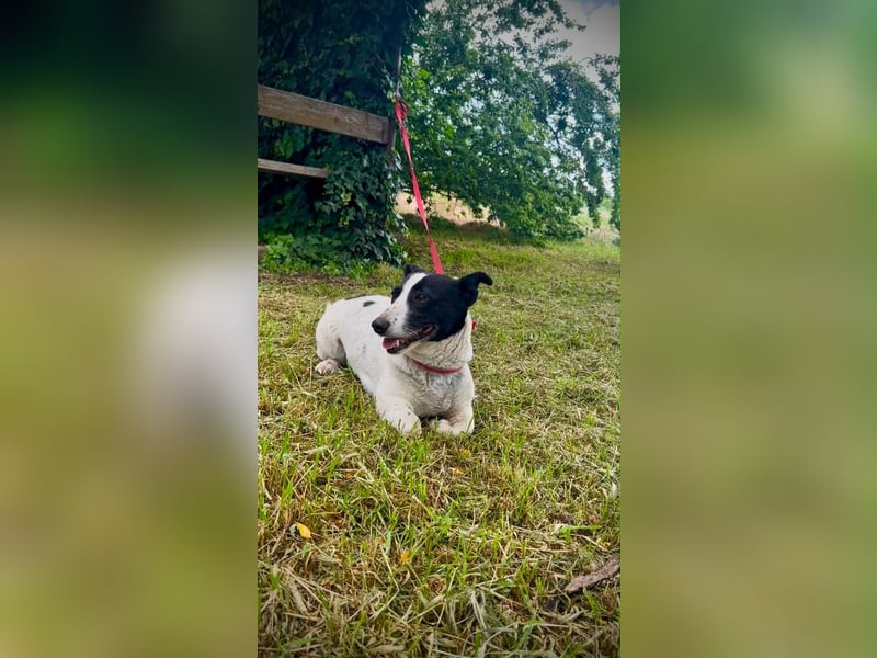 Manu - Kleine Kämpferin sucht ihr Glück