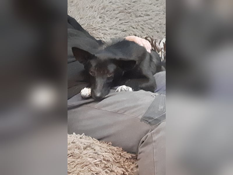 Die hübsche Lissa sucht Dich