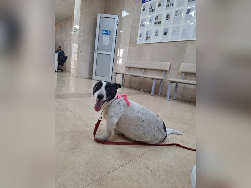Manu - Kleine Kämpferin sucht ihr Glück