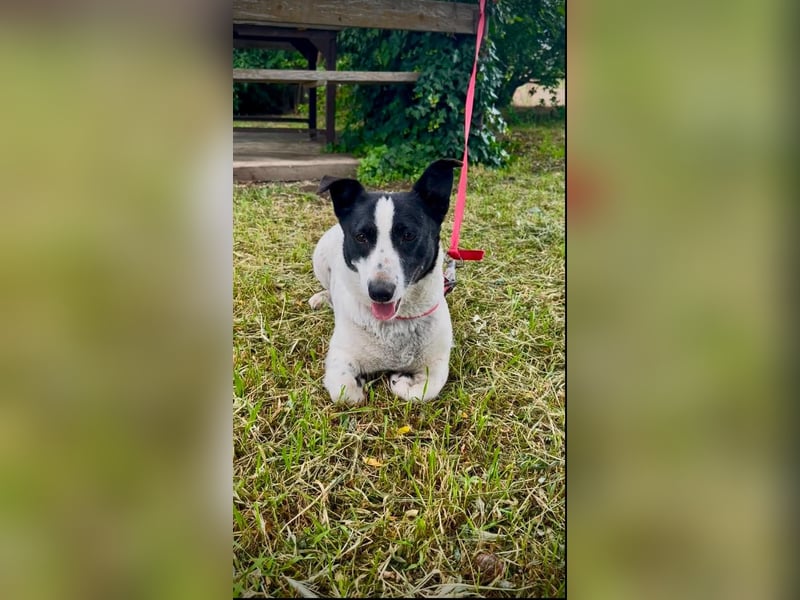 Manu - Kleine Kämpferin sucht ihr Glück