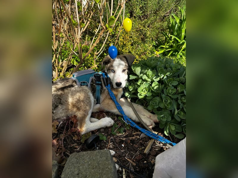 Sandi möchte die Welt entdecken