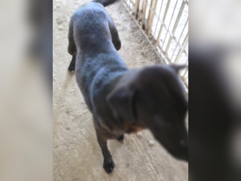 Stella - so menschenbezogen