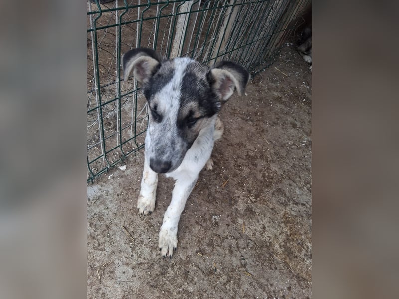 Selma möchte die Welt entdecken