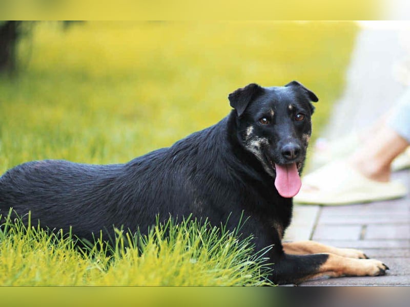 Liebe Lana sucht ihre Familie