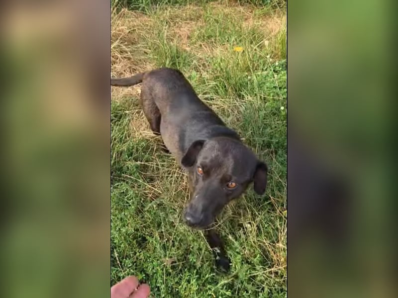 Stella - so menschenbezogen