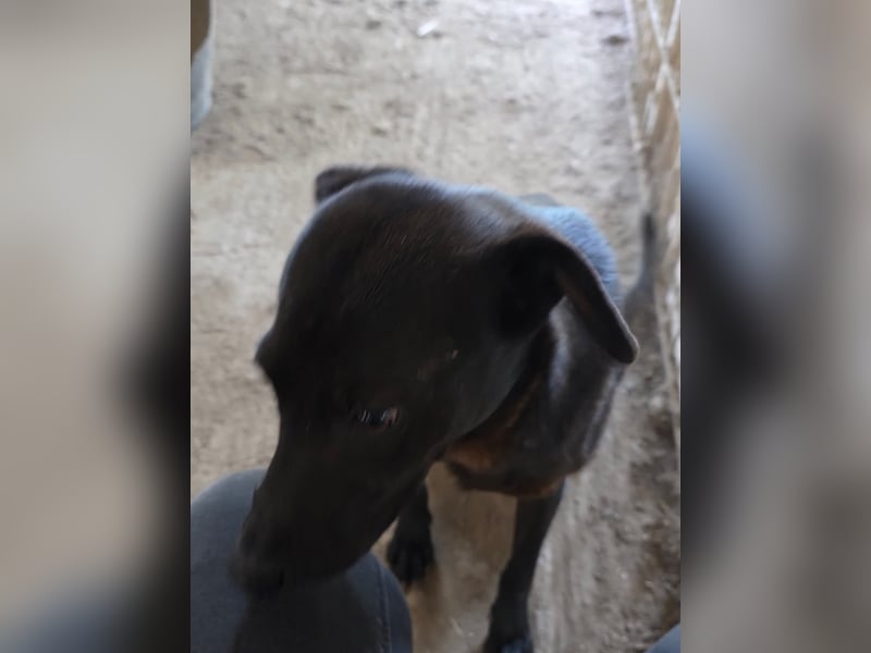 Stella - so menschenbezogen