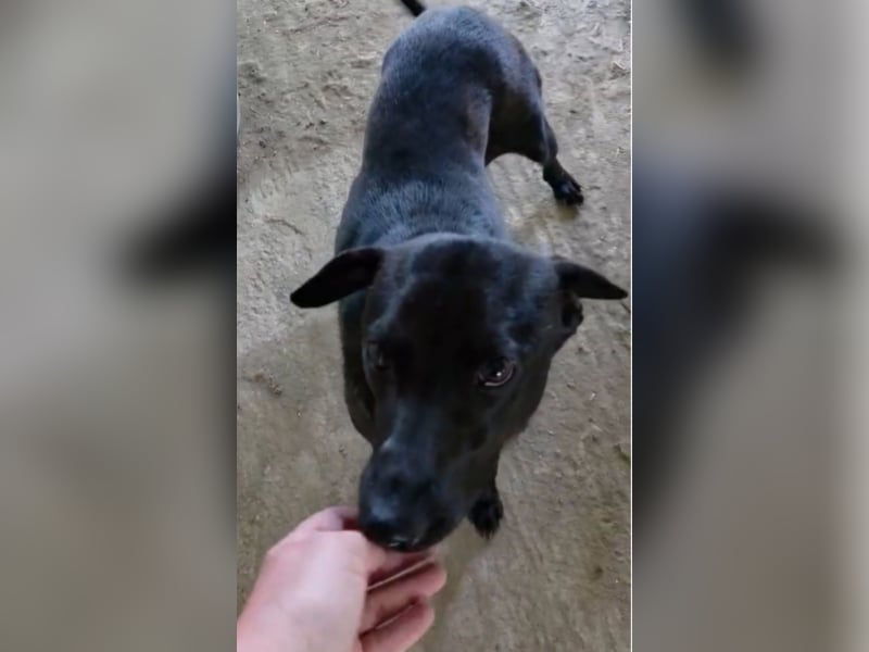 Stella - so menschenbezogen