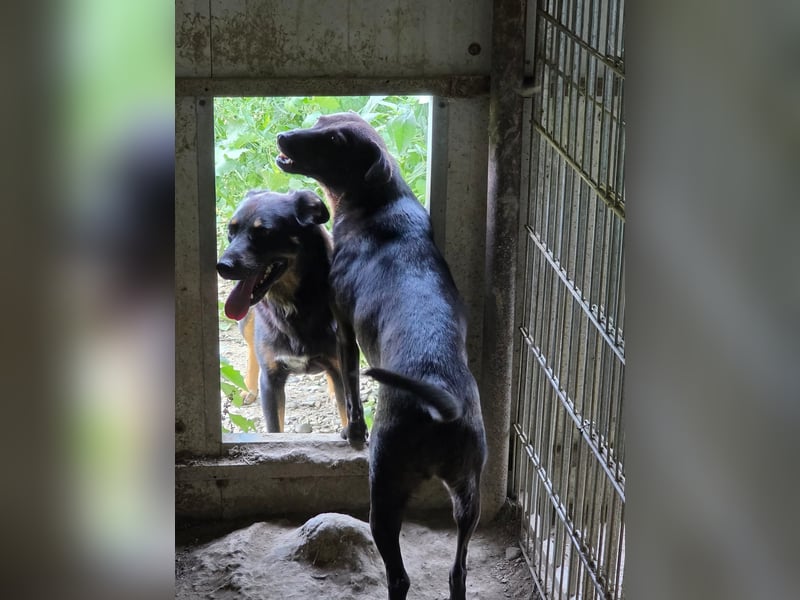 Stella - so menschenbezogen