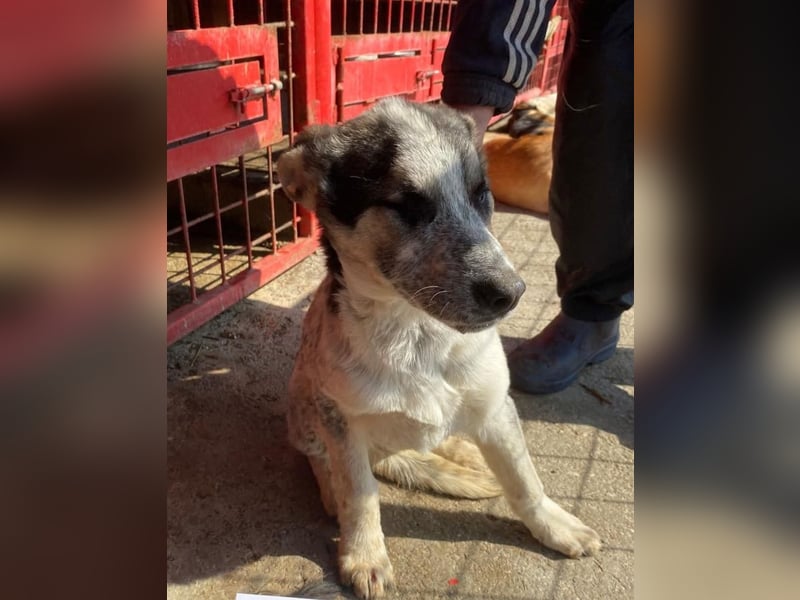 Selma möchte die Welt entdecken