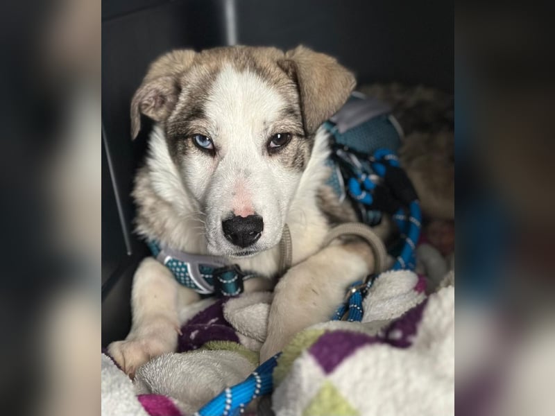 Sandi möchte die Welt entdecken