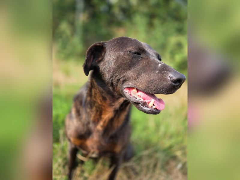 Stella - so menschenbezogen