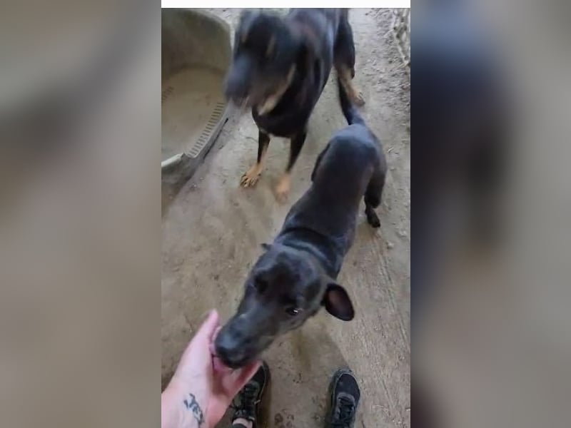 Stella - so menschenbezogen