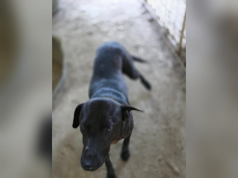 Stella - so menschenbezogen