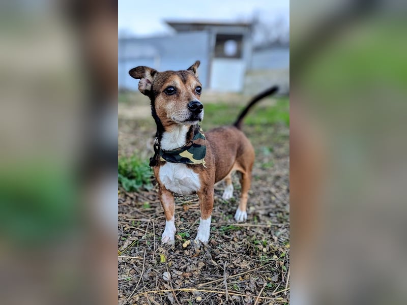 Turbo, hat seine Familie verloren