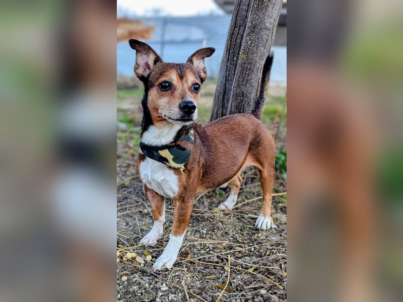 Turbo, hat seine Familie verloren