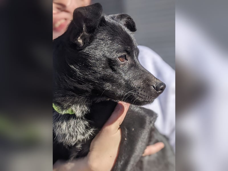 Tuno, kleiner Sonnenschein auf der Suche nach seinem Glück