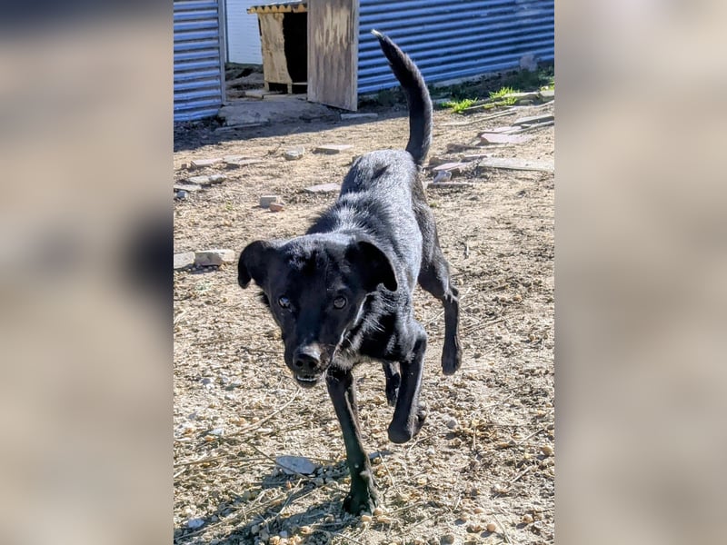 Tuno, kleiner Sonnenschein auf der Suche nach seinem Glück