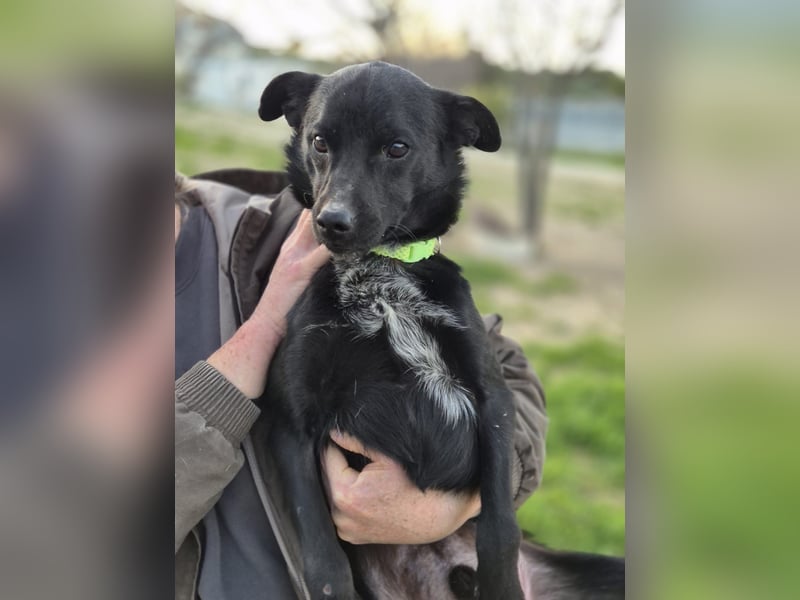 Tuno, kleiner Sonnenschein auf der Suche nach seinem Glück