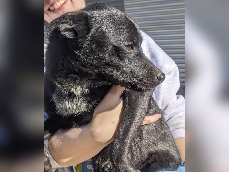 Tuno, kleiner Sonnenschein auf der Suche nach seinem Glück