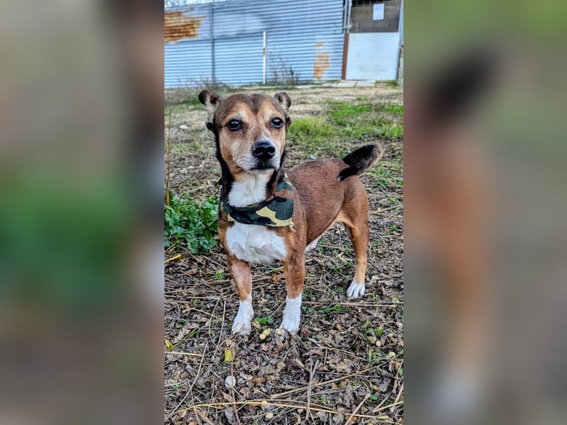 Turbo, hat seine Familie verloren