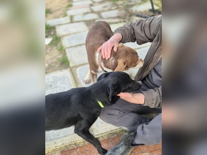 Tuno, kleiner Sonnenschein auf der Suche nach seinem Glück