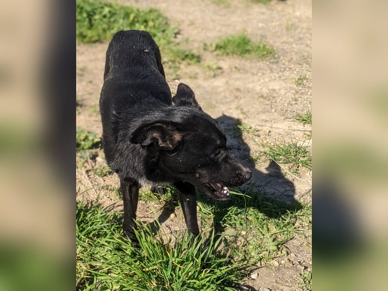 Tuno, kleiner Sonnenschein auf der Suche nach seinem Glück