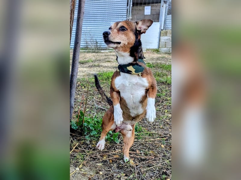 Turbo, hat seine Familie verloren