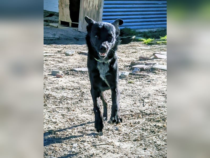 Tuno, kleiner Sonnenschein auf der Suche nach seinem Glück