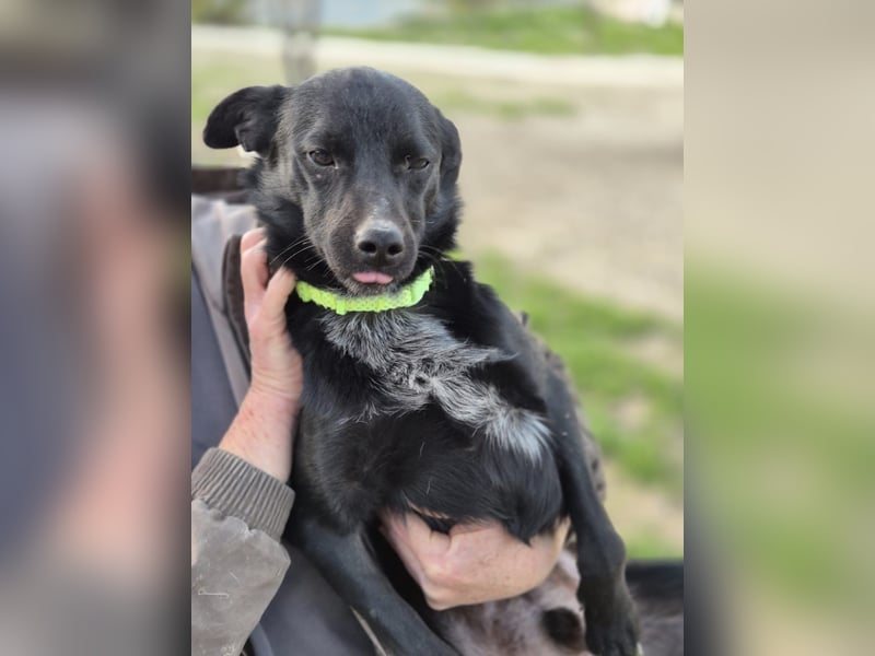 Tuno, kleiner Sonnenschein auf der Suche nach seinem Glück