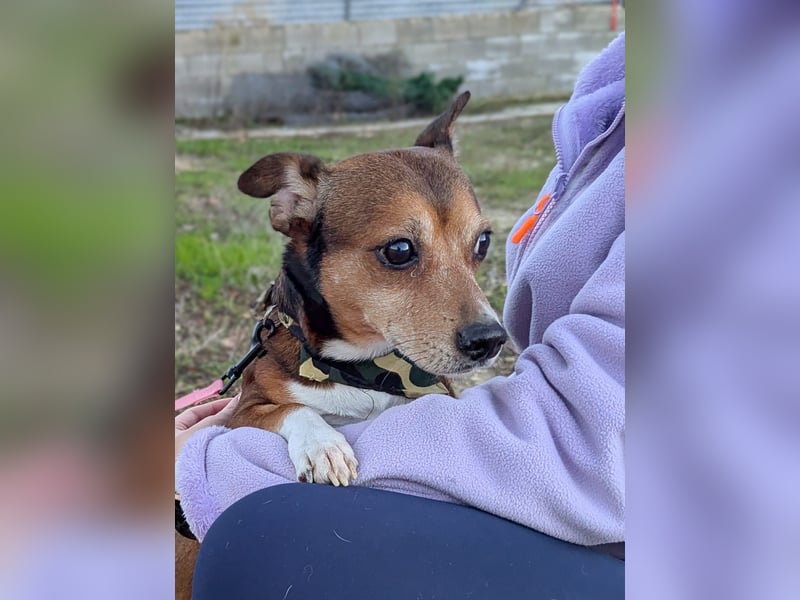 Turbo, hat seine Familie verloren