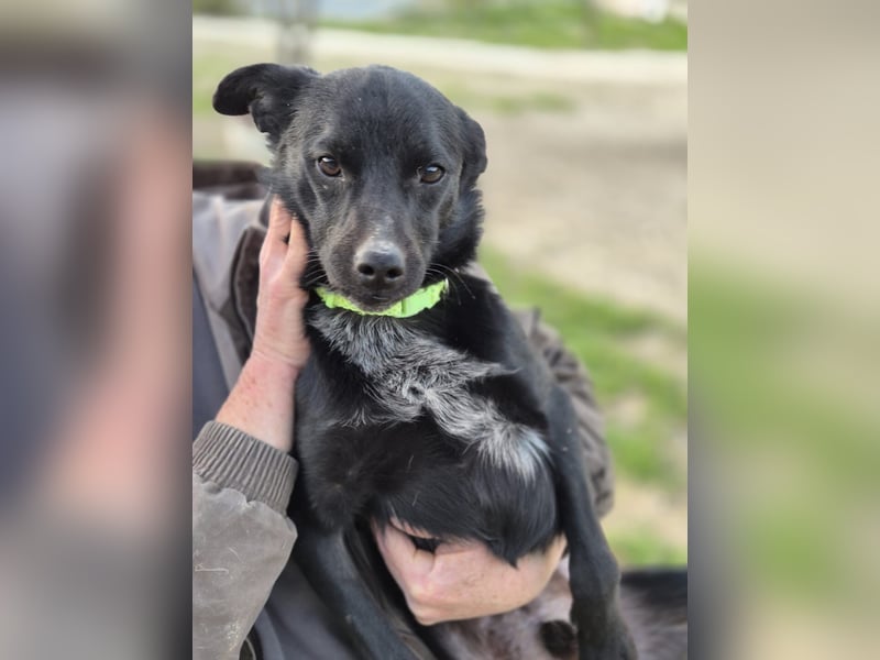 Tuno, kleiner Sonnenschein auf der Suche nach seinem Glück