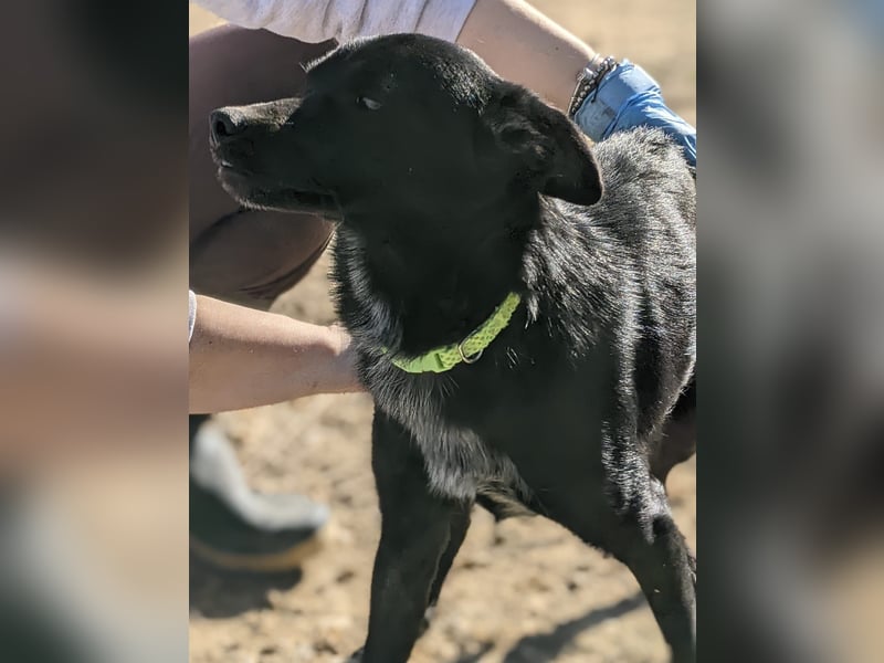 Tuno, kleiner Sonnenschein auf der Suche nach seinem Glück