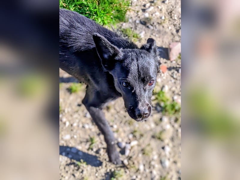 Tuno, kleiner Sonnenschein auf der Suche nach seinem Glück