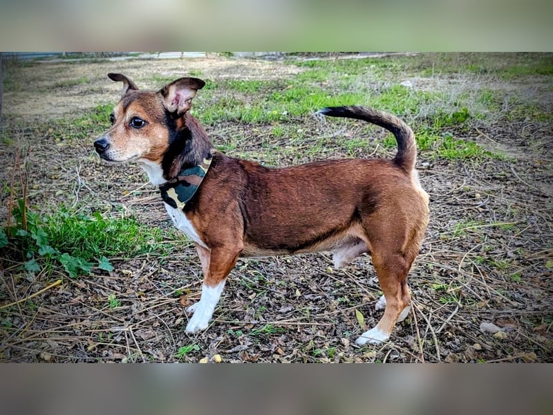 Turbo, hat seine Familie verloren