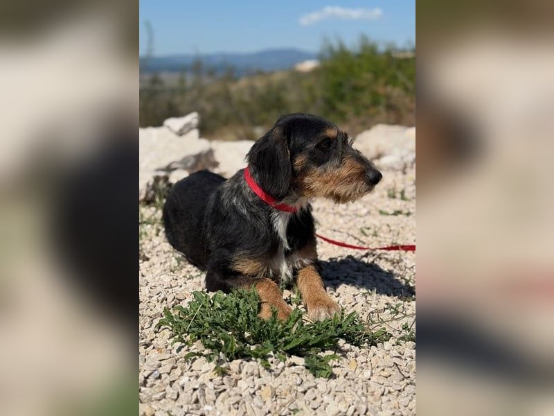 Rüdiger sucht seine Menschen