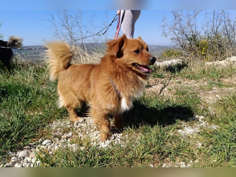 Samu möchte Ankommen