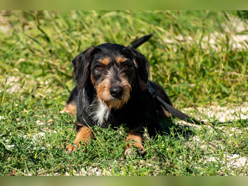 Rüdiger sucht seine Menschen