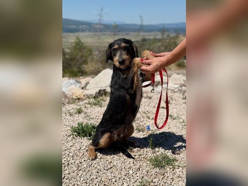 Rüdiger sucht seine Menschen