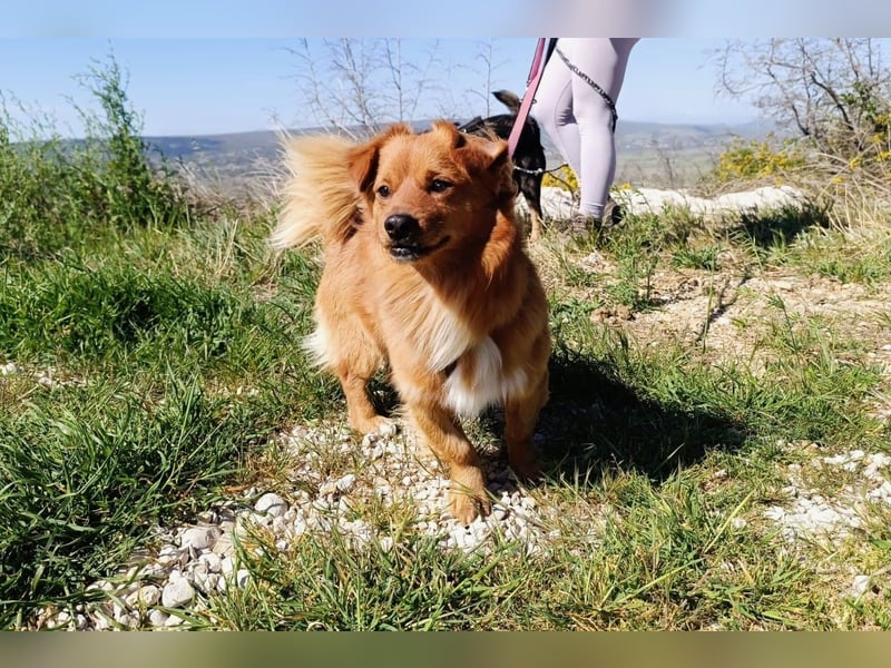 Samu möchte Ankommen