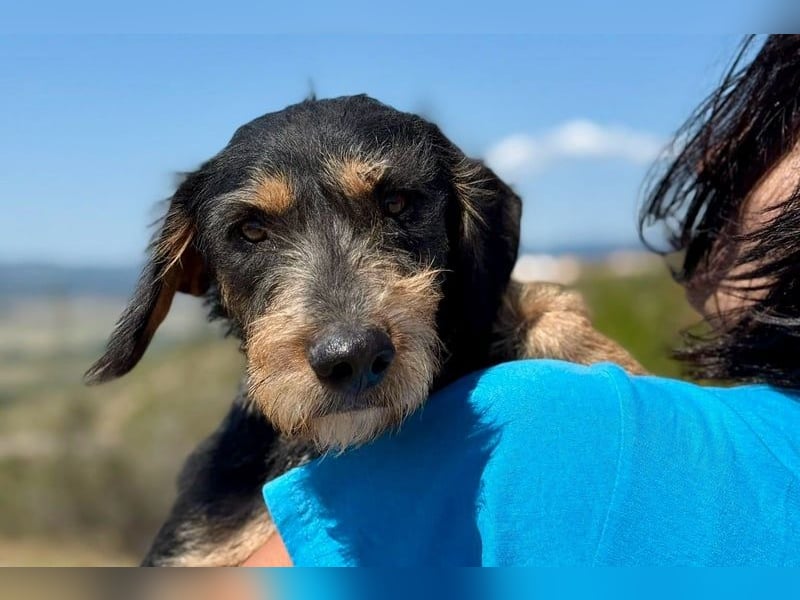 Rüdiger sucht seine Menschen