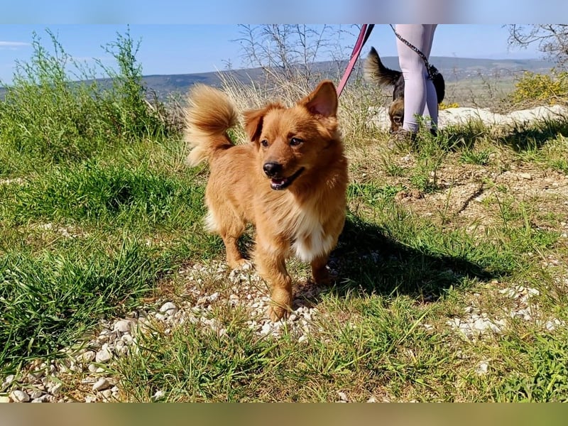 Samu möchte Ankommen