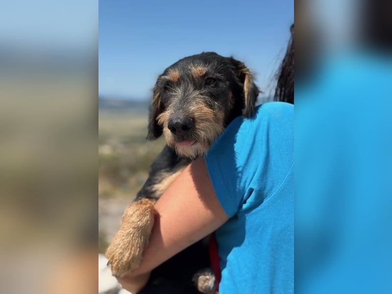 Rüdiger sucht seine Menschen