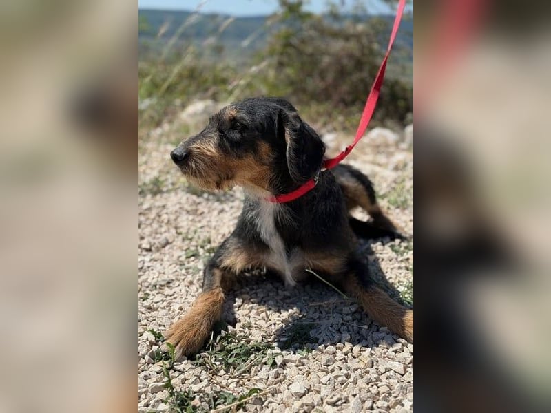 Rüdiger sucht seine Menschen