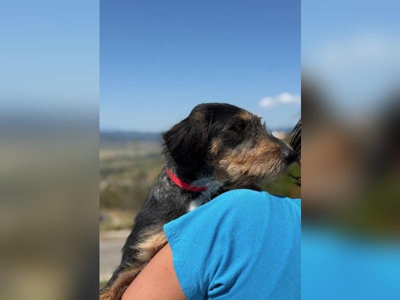 Rüdiger sucht seine Menschen