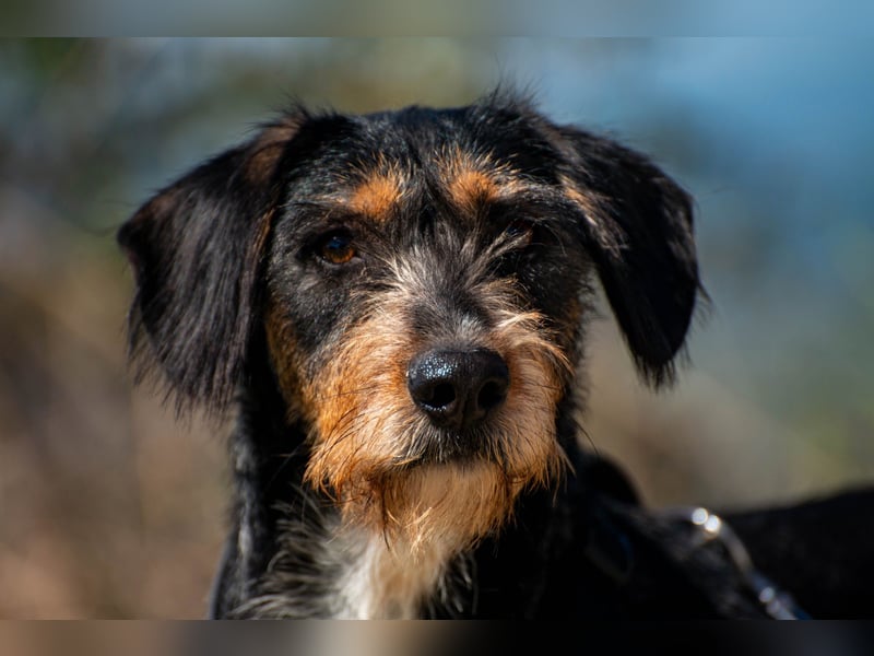 Rüdiger sucht seine Menschen